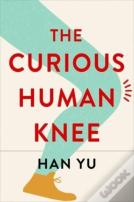 The Curious Human Knee