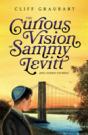 The Curious Vision Of Sammy Levitt And Other Stories - Preview