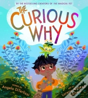 Capa do artigo The Curious Why