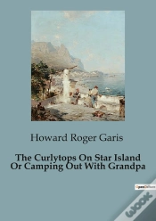 Capa do artigo The Curlytops On Star Island Or Camping