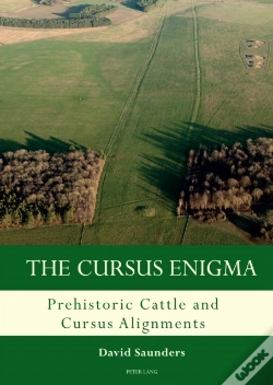 Capa do artigo The Cursus Enigma