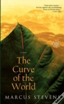 Capa do artigo The Curve Of The World