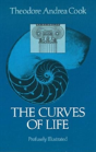 The Curves Of Life - Preview