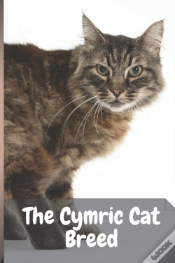Capa do artigo The Cymric Cat Breed