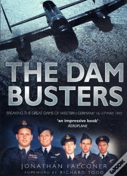 Capa do artigo The Dam Busters