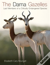 Capa do artigo The Dama Gazelles
