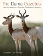 The Dama Gazelles - Preview