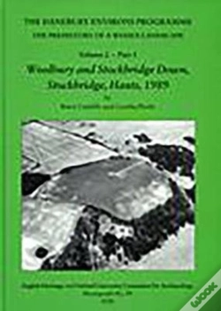 Capa do artigo The Danebury Environs Programme