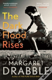 Capa do artigo The Dark Flood Rises