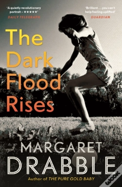 Capa do artigo The Dark Flood Rises