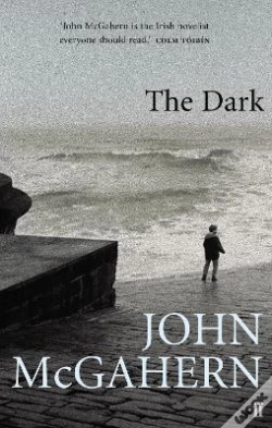 Capa do artigo The Dark