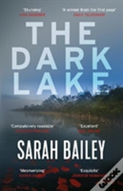 Capa do artigo The Dark Lake