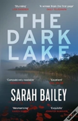 Capa do artigo The Dark Lake