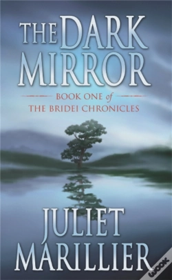 Capa do artigo The Dark Mirror