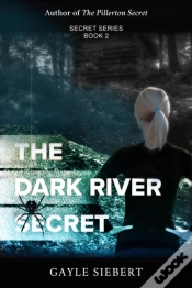 Capa do artigo The Dark River Secret