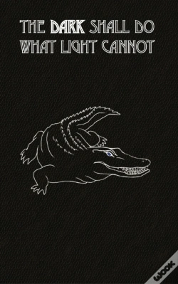 Capa do artigo The Dark Shall Do What Light Cannot