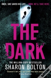 Capa do artigo The Dark