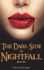 The Dark Side Of Nightfall - Preview
