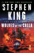 The Dark Tower V