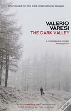 Capa do artigo The Dark Valley