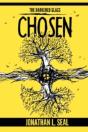 The Darkened Glass: Chosen - Preview