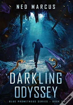Capa do artigo The Darkling Odyssey