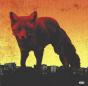 The Day Is My Enemy - CD - Preview