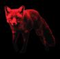 The Day Is My Enemy - Remixed - CD - Preview