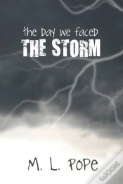 Capa do artigo The Day We Faced The Storm