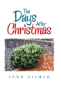 The Days After Christmas - Preview
