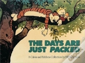 Capa do artigo The Days Are Just Packed
