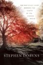 The Day'S Last Light Reddens The Leaves Of The Copper Beech - Preview