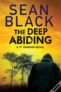Capa do artigo The Deep Abiding