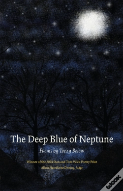 Capa do artigo The Deep Blue Of Neptune