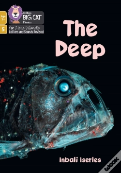 Capa do artigo The Deep