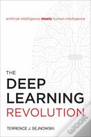 The Deep Learning Revolution