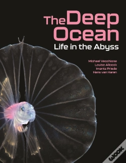 Capa do artigo The Deep Ocean