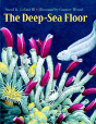 The Deep-Sea Floor - Preview