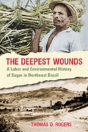 The Deepest Wounds - Preview