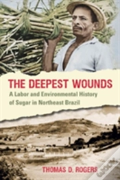 Capa do artigo The Deepest Wounds