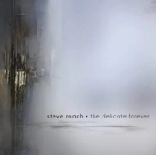 Capa do artigo The Delicate Forever - CD