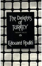 The Delights Of Turkey: Stories - Preview