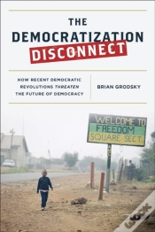 Capa do artigo The Democratization Disconnect