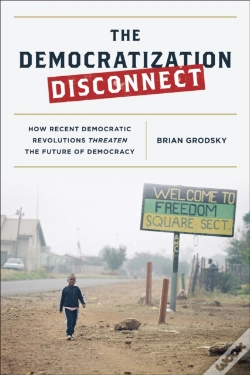 Capa do artigo The Democratization Disconnect