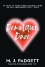 The Demolition Daze - Preview