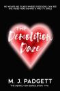 The Demolition Daze - Preview
