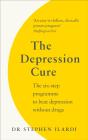The Depression Cure - Preview