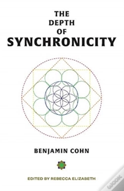Capa do artigo The Depth Of Synchronicity