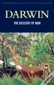 Capa do artigo The Descent Of Man