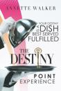 The Destiny Point Experience - Preview
